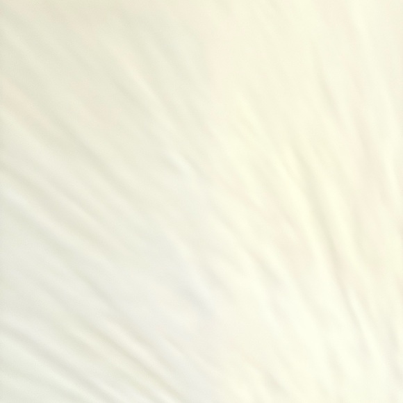 Athletic Works Women's Charcoal Shorts - Picture 4 of 4